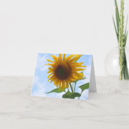 Sonnenblume-leere Anmerkungs-Karte Karte