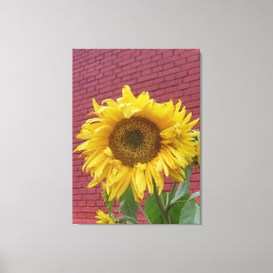Sonnenblume-Leinwand Leinwanddruck