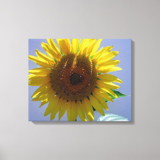 Sonnenblume-Leinwand Leinwanddruck (Vorderseite)