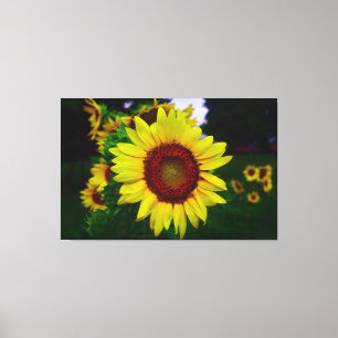 Sonnenblume Leinwanddruck