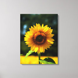 Sonnenblume Leinwanddruck