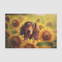 Sonnenblume Liebe, braune Dackel