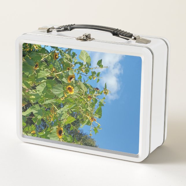 Sonnenblume Lunchbox (Vorderseite)