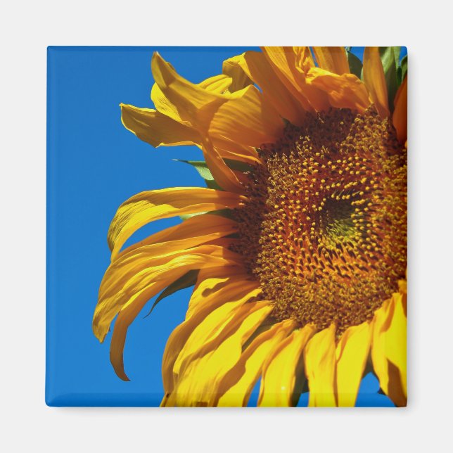 Sonnenblume - Magnet (Vorne)