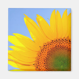 Sonnenblume Magnet