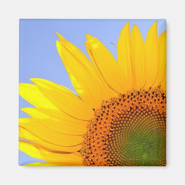 Sonnenblume Magnet (Vorne)
