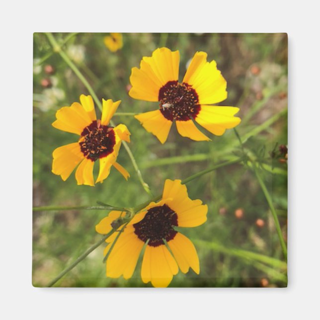 Sonnenblume Magnet (Vorne)