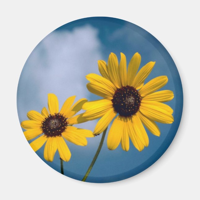 Sonnenblume Magnet (Vorne)