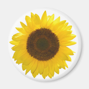 Sonnenblume Magnet