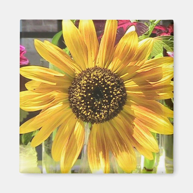 Sonnenblume Magnet (Vorne)