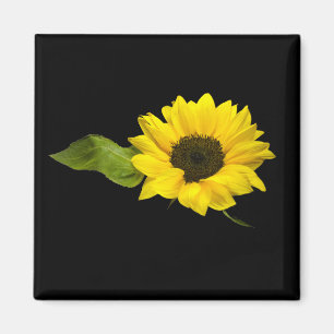Sonnenblume Magnet
