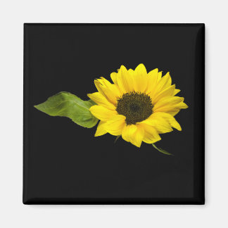 Sonnenblume Magnet
