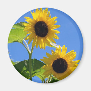 Sonnenblume Magnet