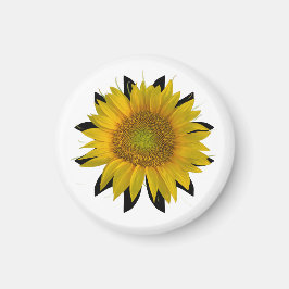Sonnenblume Magnet