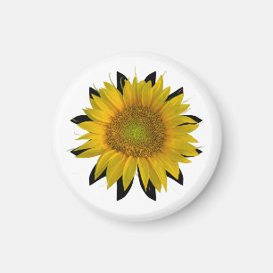 Sonnenblume Magnet