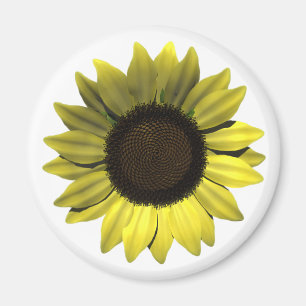 Sonnenblume-Magnet Magnet