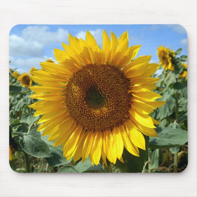 Sonnenblume-Mäusematte Mousepad (Vorne)