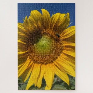 Sonnenblume mit Biene