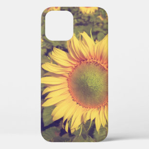 Sonnenblume mit Filtereffektretro Vintager Stiel Case-Mate iPhone Hülle
