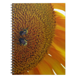 Sonnenblume mit Hummeln Notizblock