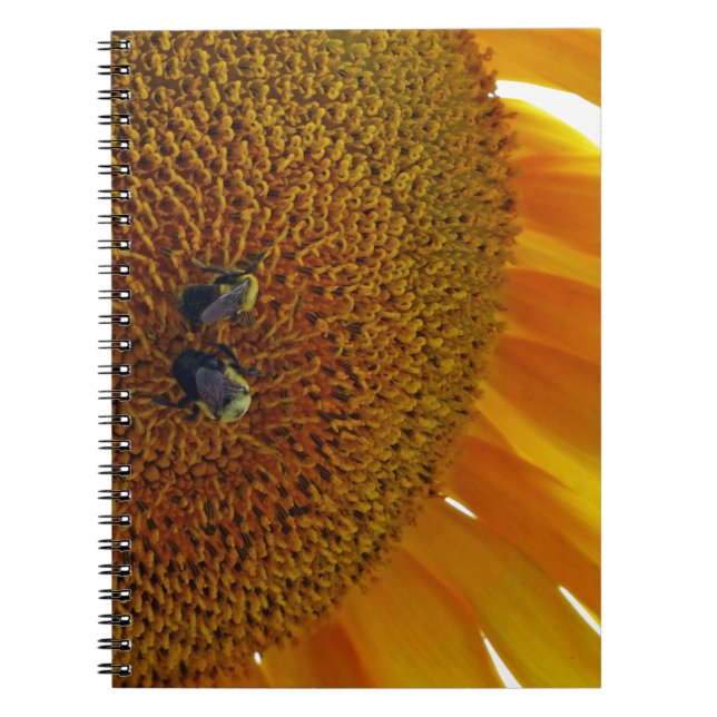Sonnenblume mit Hummeln Notizblock (Vorderseite)