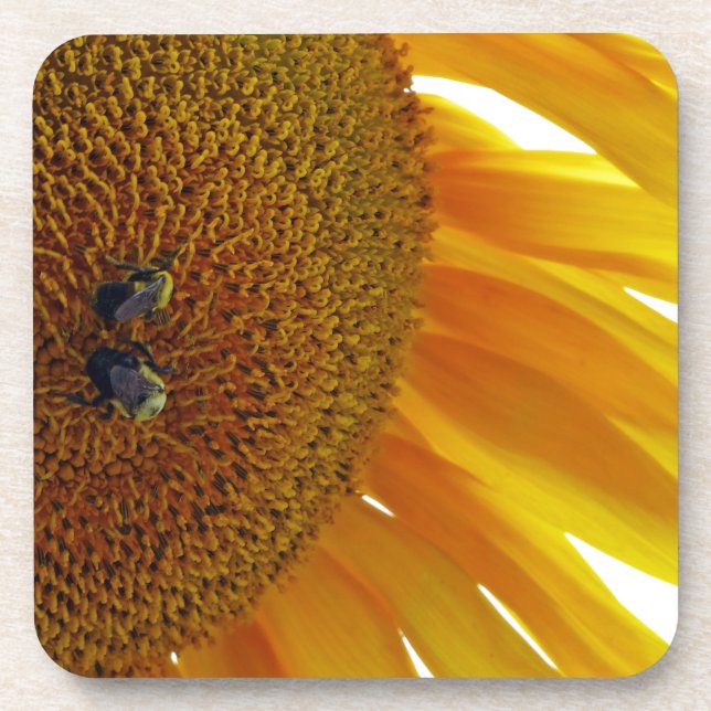 Sonnenblume mit Hummeln Untersetzer (Vorderseite)