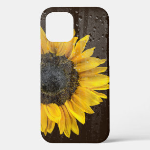 Sonnenblume mit Regentropfen auf Fenster Case-Mate iPhone Hülle