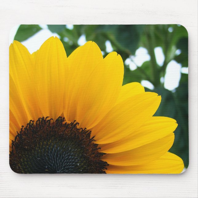 Sonnenblume Mousepad (Vorne)