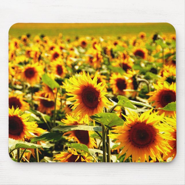 Sonnenblume Mousepad (Vorne)