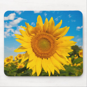 Sonnenblume Mousepad