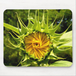 Sonnenblume Mousepad