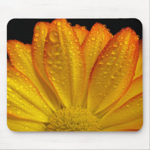 Sonnenblume Mousepad