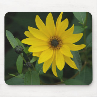 Sonnenblume Mousepad