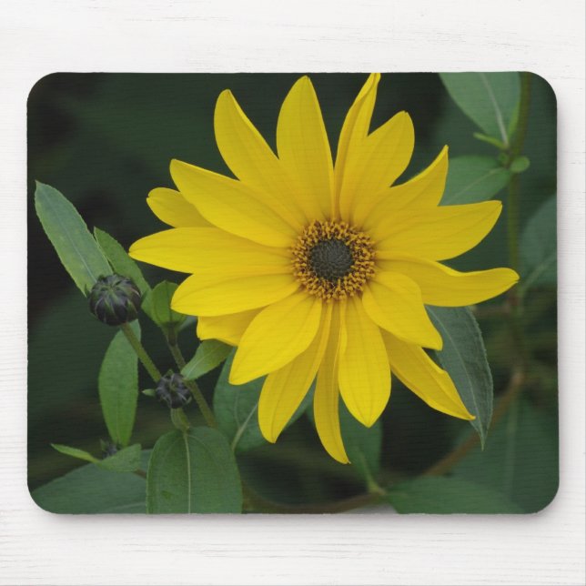 Sonnenblume Mousepad (Vorne)