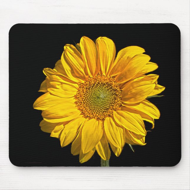Sonnenblume Mousepad (Vorne)