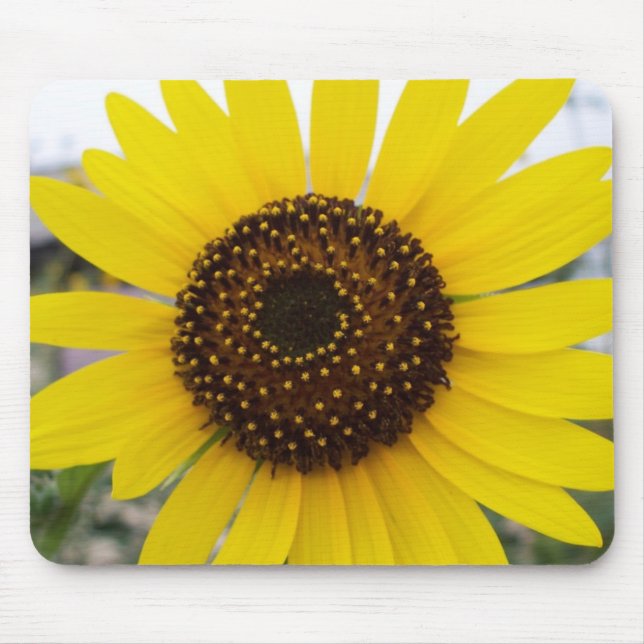 Sonnenblume mousepad (Vorne)