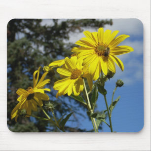 Sonnenblume Mousepad
