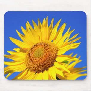Sonnenblume Mousepad