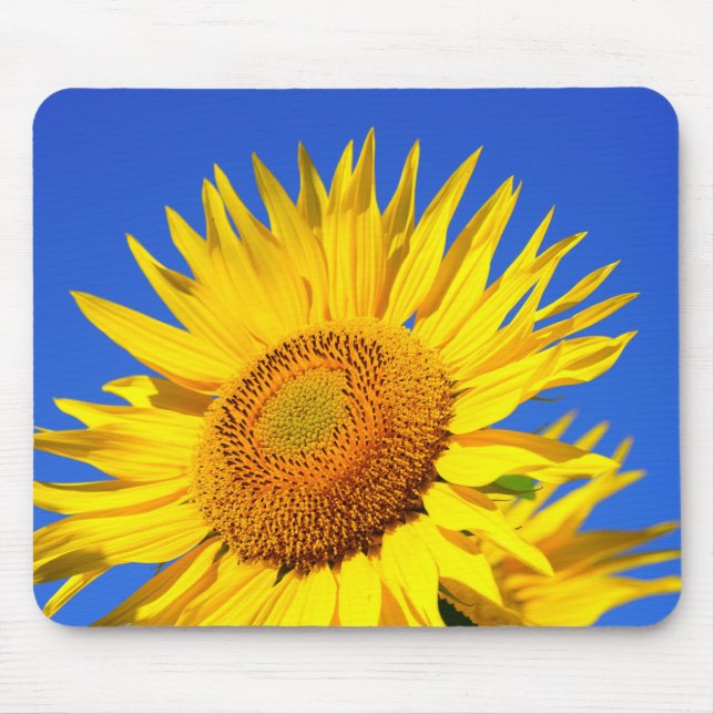 Sonnenblume Mousepad (Vorne)