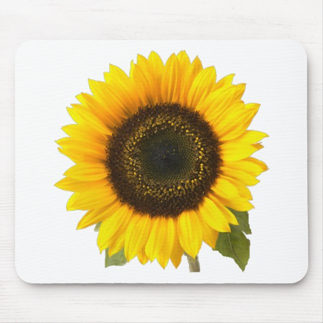 Sonnenblume Mousepad (Vorne)
