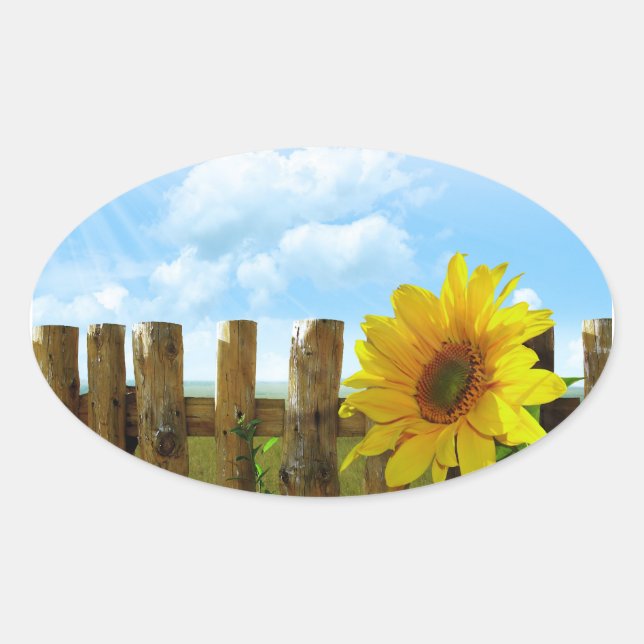 Sonnenblume-Natur-Schönheit Ovaler Aufkleber (Vorderseite)