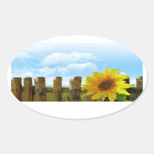 Sonnenblume-Natur-Schönheit Ovaler Aufkleber