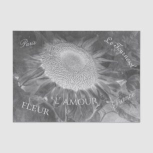 Sonnenblume Negatives Schwarz-Weiß-Vintages Skript Seidenpapier