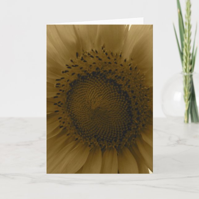 Sonnenblume Notecard Karte (Vorderseite)