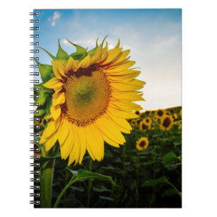 Sonnenblume Notizblock