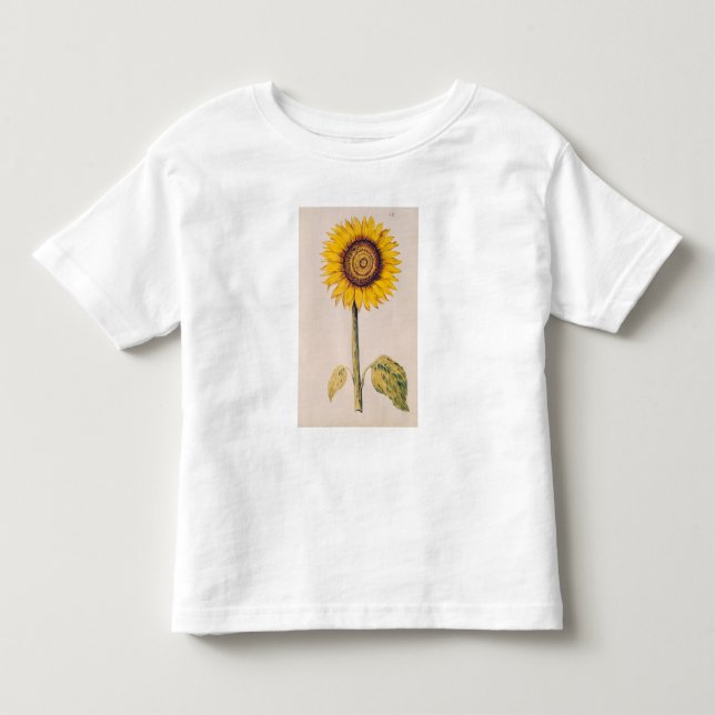 Sonnenblume oder Helianthus Kleinkind T-shirt (Vorderseite)