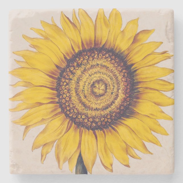 Sonnenblume oder Helianthus Steinuntersetzer (Vorderseite)