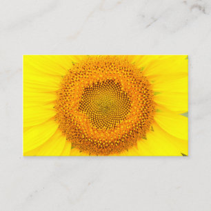 Sonnenblume Ozeanien, 3,54" x 2,165" Visitenkarte