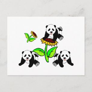 Sonnenblume Panda Bears Postkarte