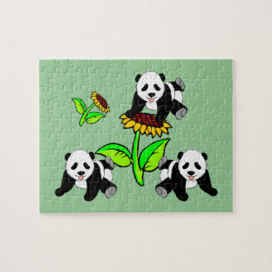Sonnenblume-Pandas